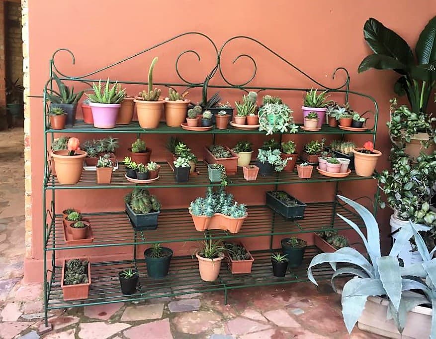 plant stand